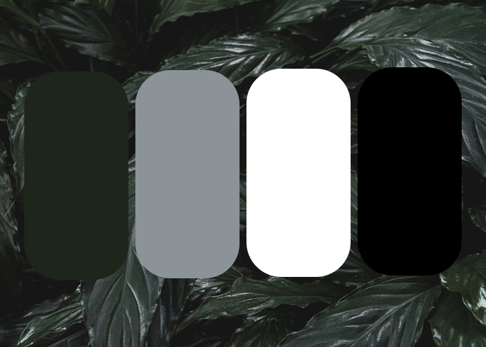 dark green grey white black